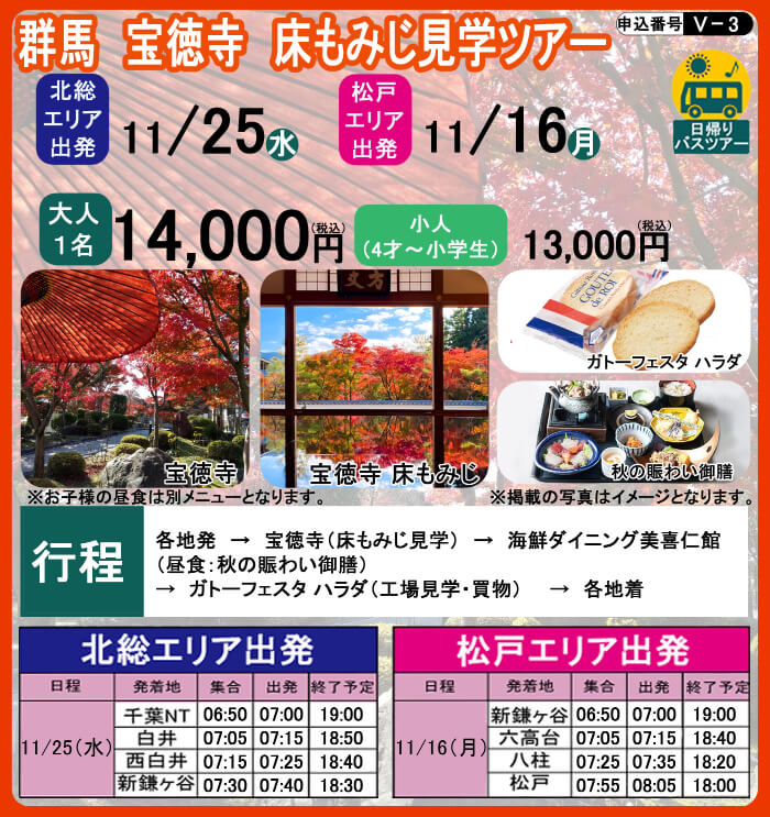 V3 群馬 宝徳寺 床もみじ見学ツアー