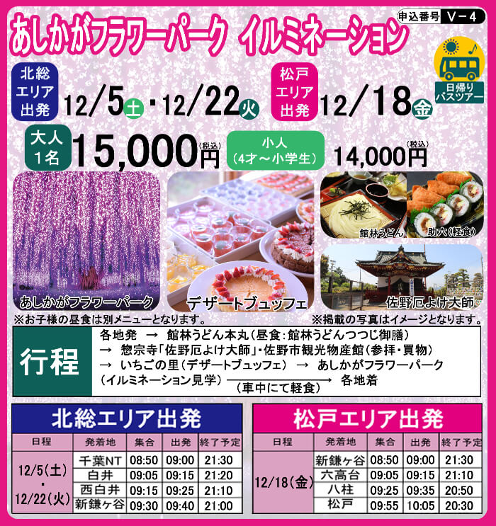 V4 あしかがフラワーパーク イルミネーション